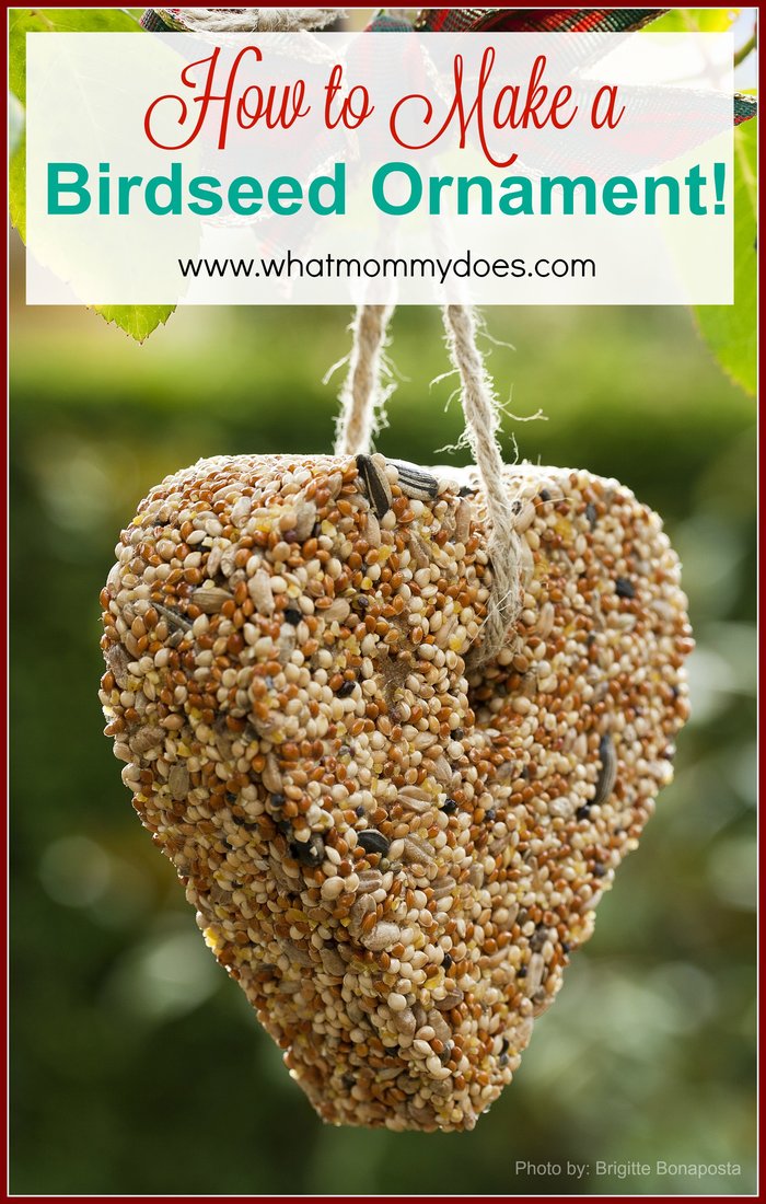 How to Make a Bird Seed Ornament What Mommy Does